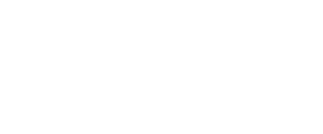 SpiritTorinoLogo